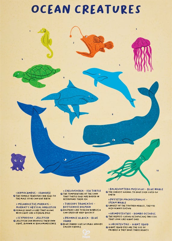 Hape Floor Puzzle-Ocean Animal