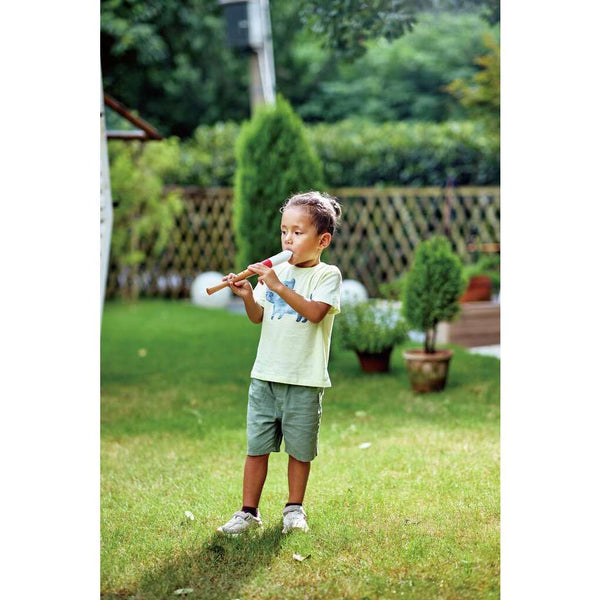 Hape Musician's Starter Recorder