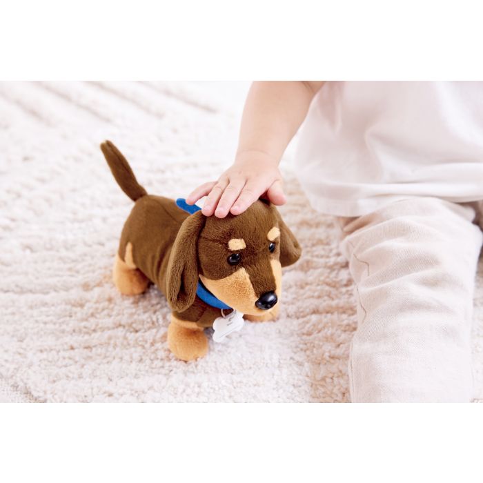 Hape Puppy Care Clinic Vet Set