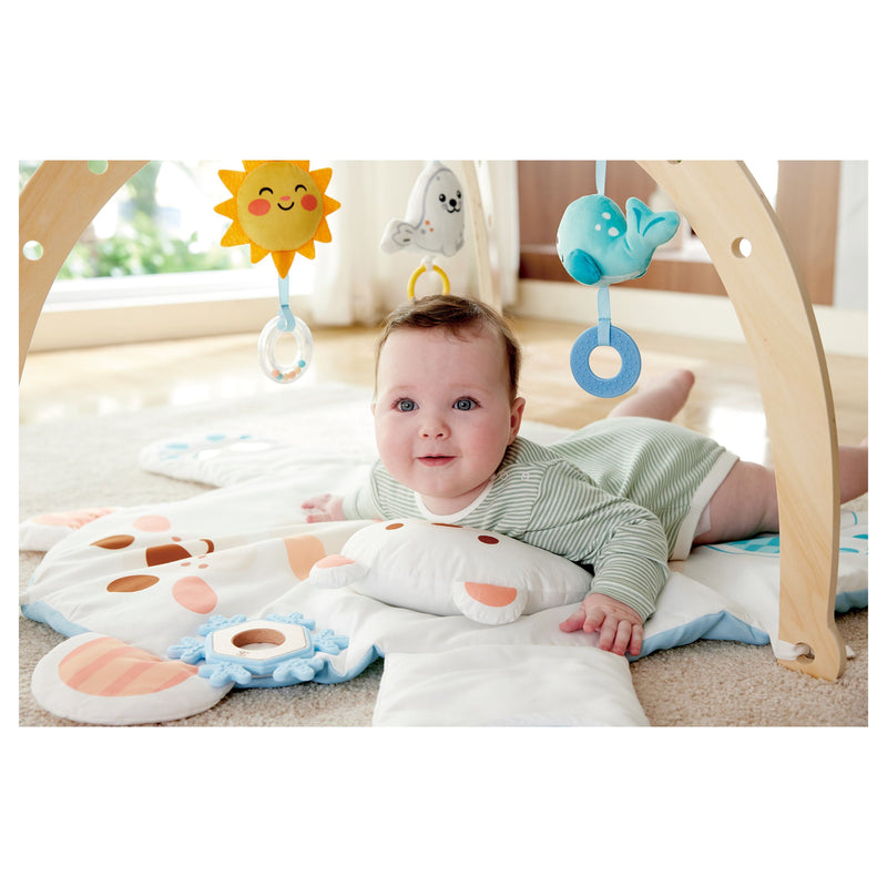 Hape Snuggle Bear Activity Gym