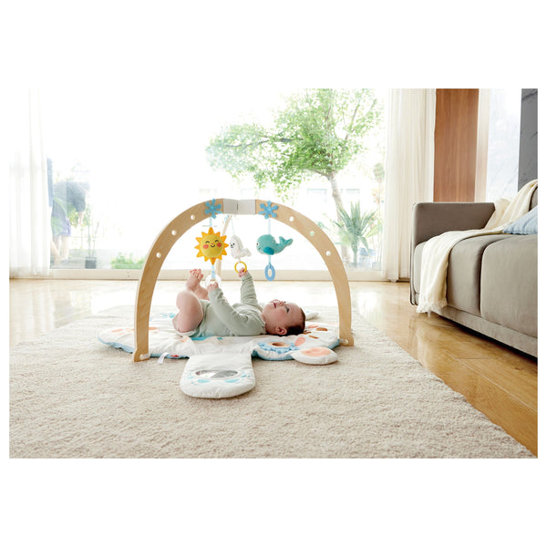 Hape Snuggle Bear Activity Gym