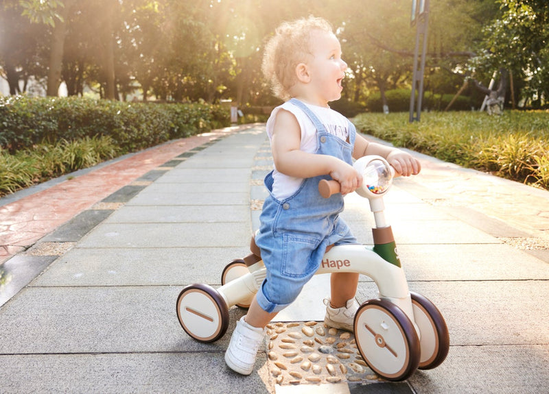 Hape Step by Step Trike