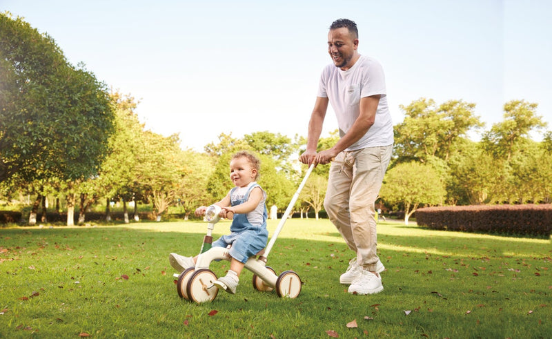 Hape Step by Step Trike