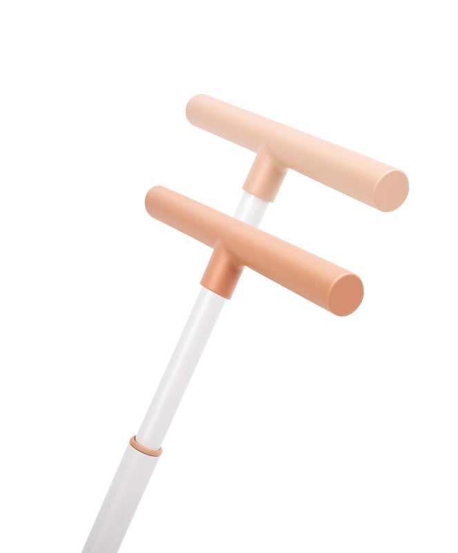 Hape Step by Step Trike