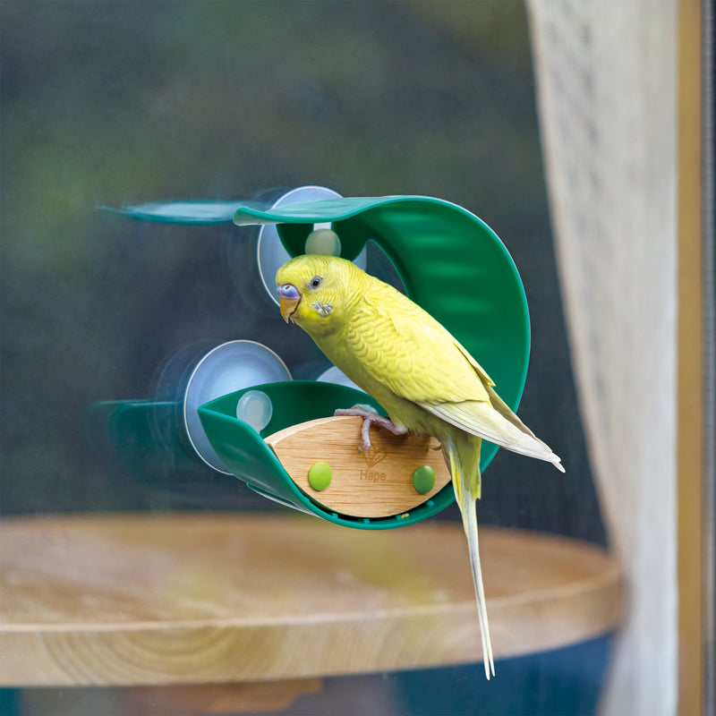 Hape Bird Feeder